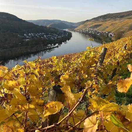 Hallenbach Zell an der Mosel