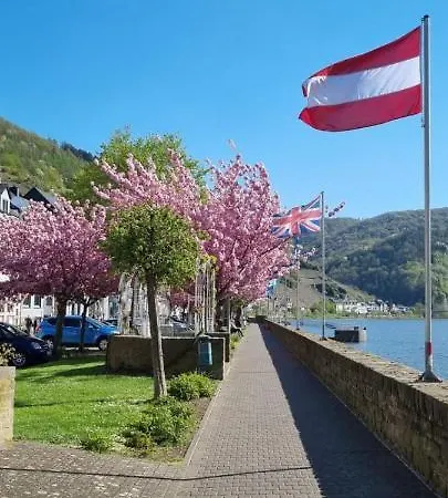 Hallenbach Апартаменты Целль-ан-дер-Мозель