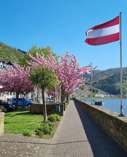 Hallenbach Apartment Zell